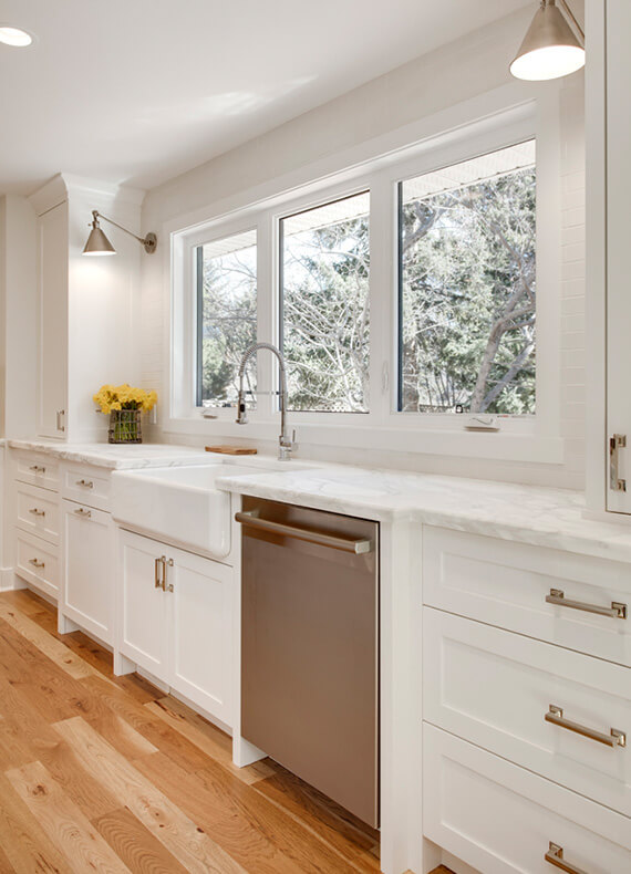 Lynx hybrid windows image 4